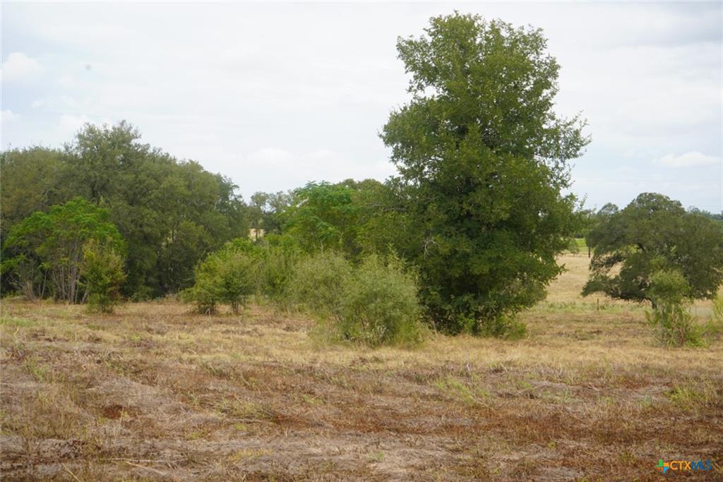 https://www.realtor.com/realestateandhomes-detail/920-Mills-Way_Seguin_TX_78155_M95947-39728